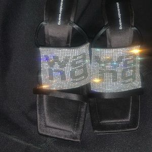 Alexander Wang Heel Sandal